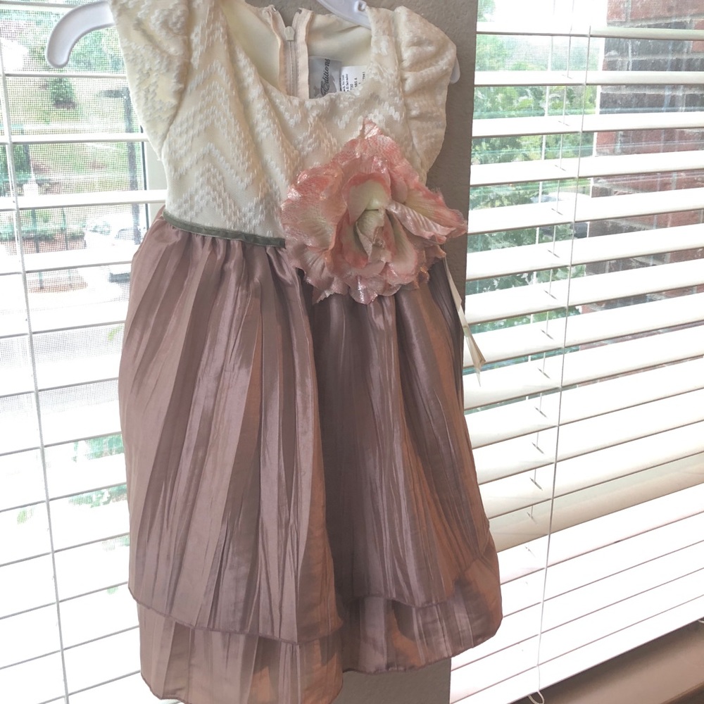 Gorgeous 2T Girls Dress. Perfect for Summer